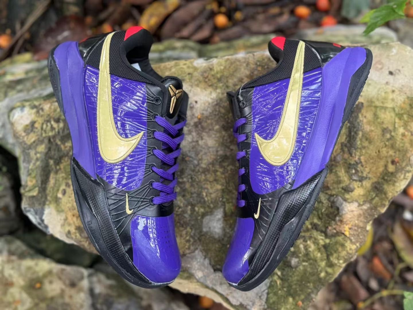 Nike Kobe 5 Protro Eggplant